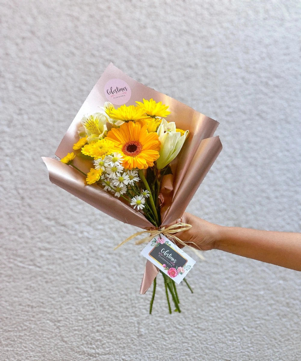 Ramo Risa Contagiosa