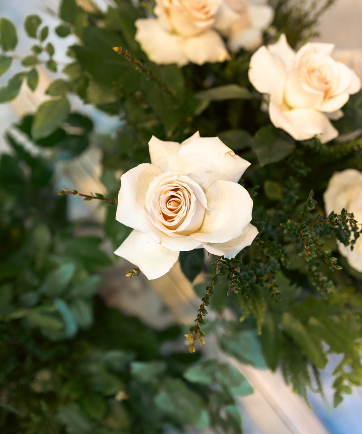 Rosas de la Eternidad