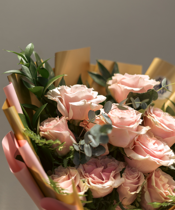 PREVENTA Rosas Rose Blush