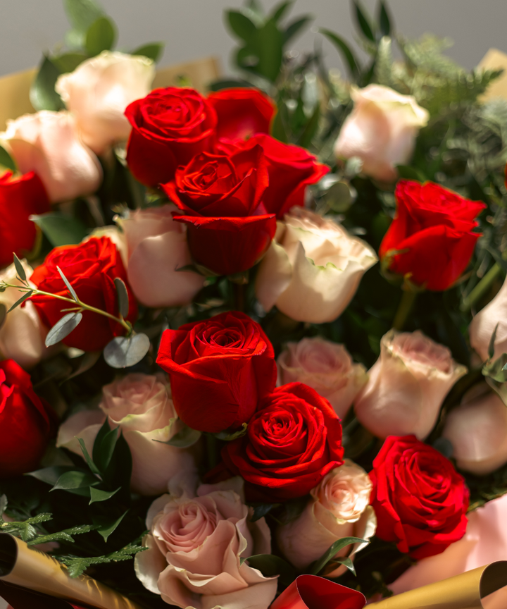 Rosas Mix D' Amour