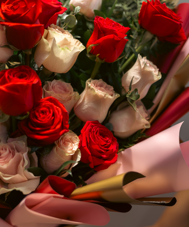 Rosas Mix D' Amour