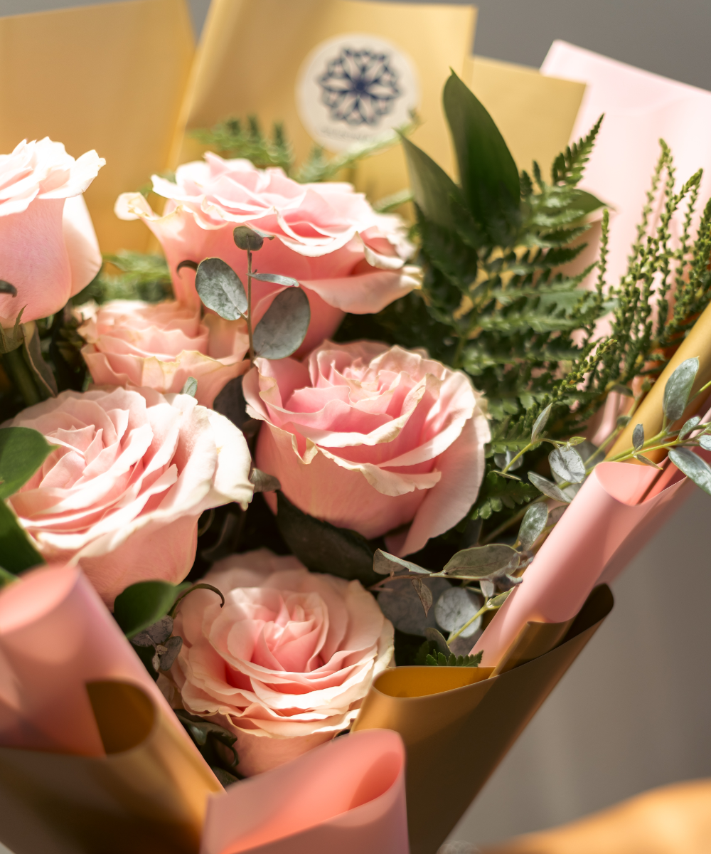 PREVENTA Rosas Rose Blush