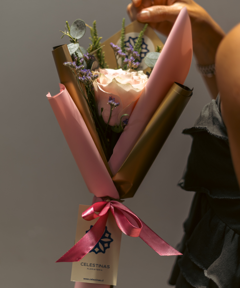 PREVENTA Rosas Rose Blush