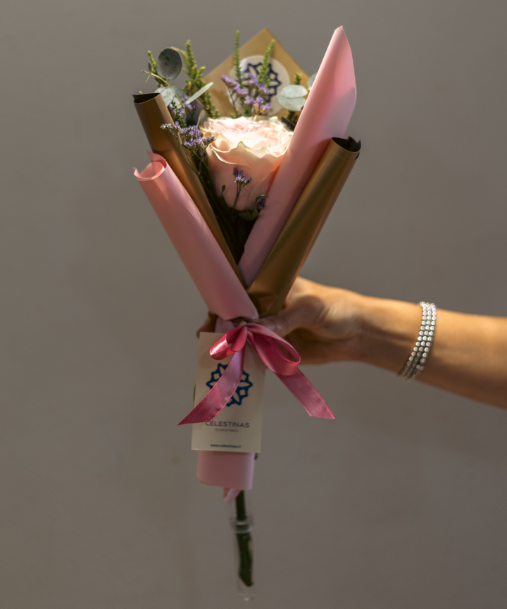 PREVENTA Rosas Rose Blush