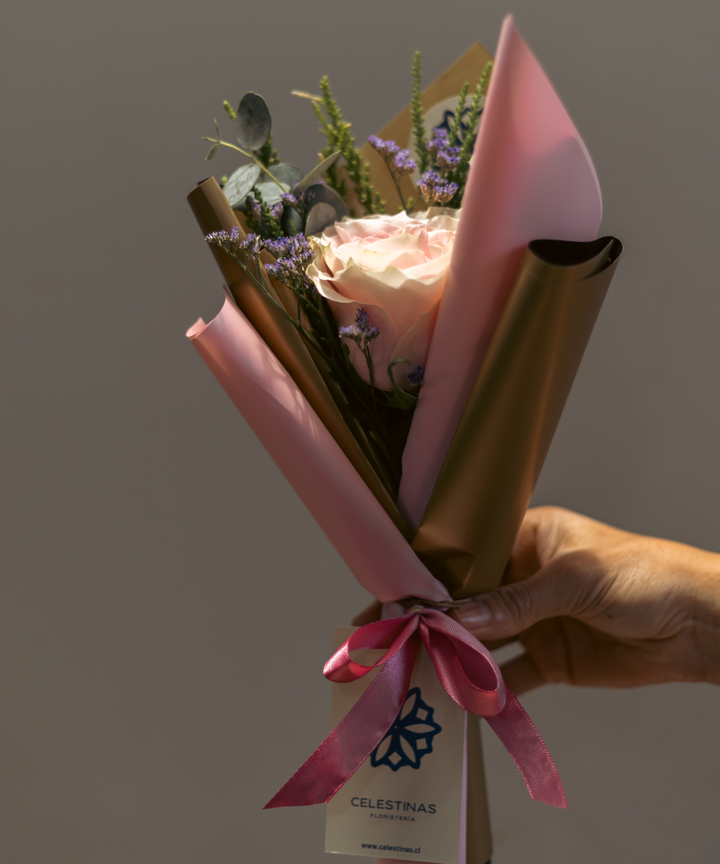 PREVENTA Rosas Rose Blush