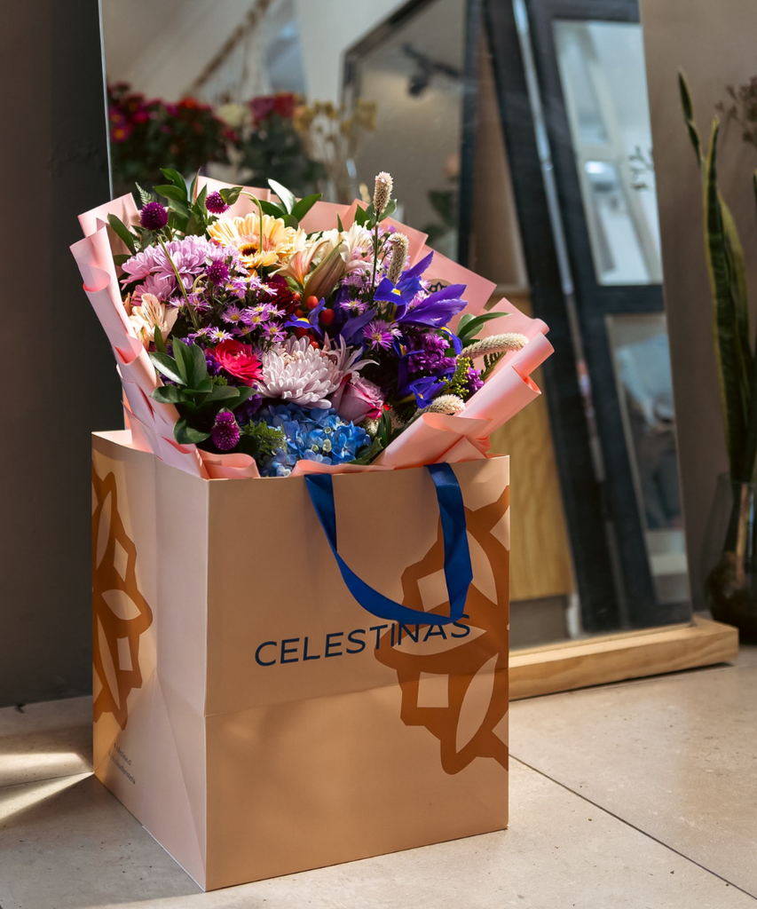 Celestinas at Home