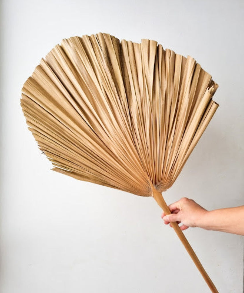 Palmera (Unidad)